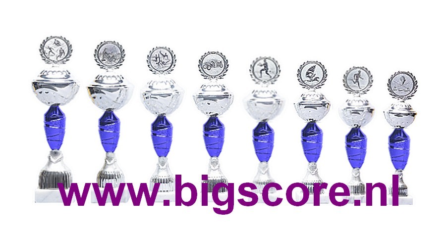 Z521 Beker Blauw-Zilver